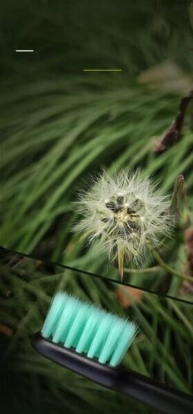 Зубна електрощітка Enchen Aurora T2 Black