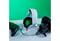 Фото - Гарнiтура HyperX Cloud Stinger 2 Core Xbox 3.5mm White (6H9B7AA) | click.ua
