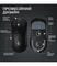 Фото - Мышь беспроводная Logitech G Pro X Superlight 2 Black (910-006630) | click.ua