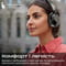 Фото - Bluetooth-гарнитура HiFuture FutureTour Pro Black (futuretourpro.black) | click.ua