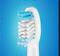 Фото - Насадка для зубной электрощетки Braun Oral-B Pulsonic Clean SR 32 C (2 шт.) | click.ua