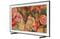 Фото - Телевизор Samsung QE65LS03DAUXUA | click.ua