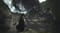 Фото - Игра Dragons Dogma II для Xbox Series X, Blu-ray (5055060954645) | click.ua