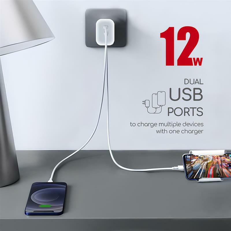 Сетевое зарядное устройство Intaleo TCG242 (2USB, 2.4A) White (1283126578281)