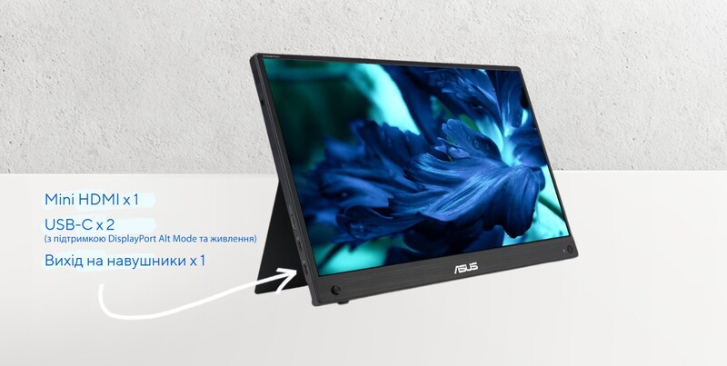 Монитор портативный Asus 15.6" ZenScreen Touch MB16AHT (90LM0890-B01170) IPS Black