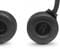 Фото - Bluetooth-гарнітура JBL Tune 560BT Black (JBLT560BTBLK)_акція | click.ua