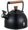 Фото - Чайник Ringel IQ Вe Natural 2.5 л (IQ-1001) | click.ua