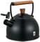 Фото - Чайник Ringel IQ Вe Natural 2.5 л (IQ-1001) | click.ua