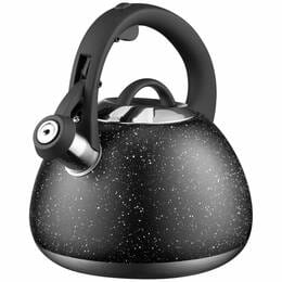 Чайник Ardesto Gemini 2.5 л (AR1957KS)