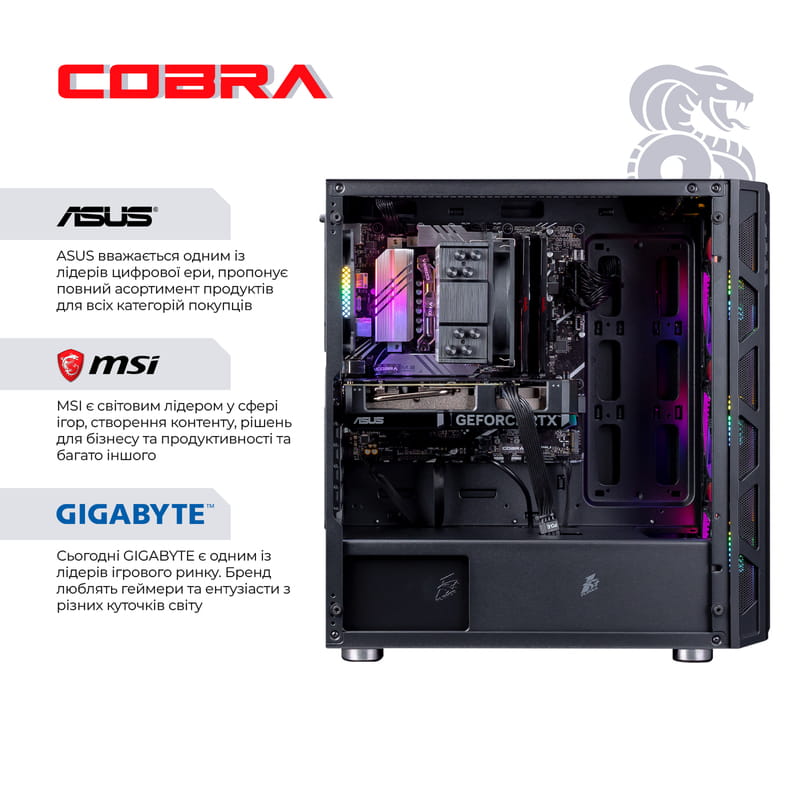 Персональный компьютер COBRA Gaming (I144F.64.S20.47S.19155W)