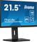 Фото - Монітор Iiyama 21.5" XUB2292HSU-B6 IPS Black 100Hz | click.ua