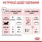 Фото - Сухий корм для кошенят Royal Canin Kitten 400 г (25220049) | click.ua