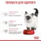 Фото - Сухий корм для кошенят Royal Canin Kitten 4 кг (25220400) | click.ua