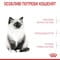 Фото - Сухий корм для кошенят Royal Canin Kitten 10 кг (2522100) | click.ua