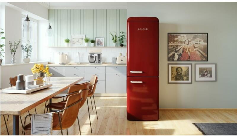 Холодильник Gorenje ONRK619DR