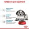 Фото - Сухий корм для собак Royal Canin Medium Puppy 4 кг (30030400) | click.ua