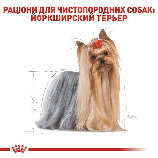 Сухой корм для собак Royal Canin Yorkshire Terrier Adult 500 г (3051005)