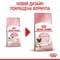 Фото - Сухий корм для кішок Royal Canin Mother & Babycat 400 г (2544004) | click.ua