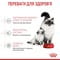 Фото - Сухий корм для кішок Royal Canin Mother & Babycat 400 г (2544004) | click.ua