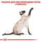 Фото - Сухий корм для кішок Royal Canin Siamese Adult 400 г (2551004) | click.ua