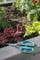 Фото - Ножницы садовые с чехлом для хранения Gardena HerbCut (12214-36.000.00) | click.ua