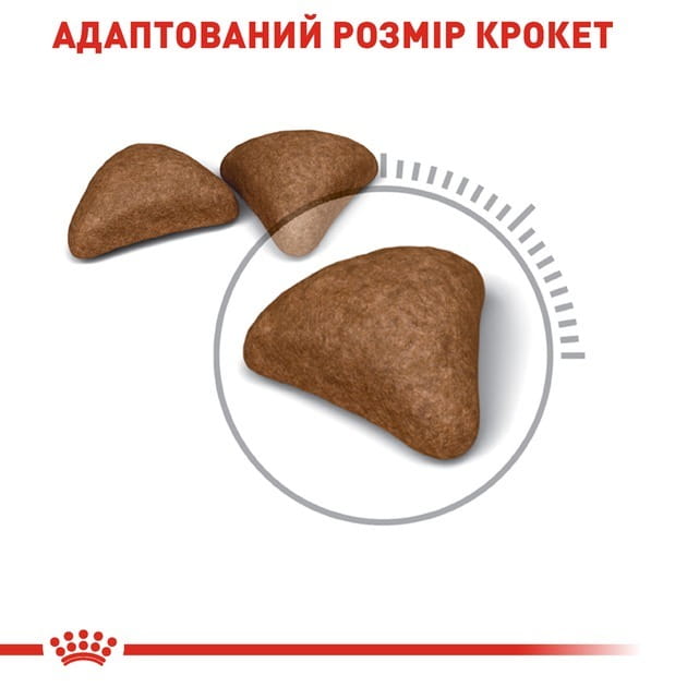 Сухой корм для кошек Royal Canin Hairball Care 10 кг (2534100)
