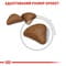 Фото - Сухой корм для кошек Royal Canin Hairball Care 10 кг (2534100) | click.ua