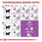 Фото - Сухой корм для стерилизованных кошек Royal Canin Sterilised 4 кг (2537040) | click.ua