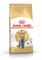 Фото - Сухой корм для кошек Royal Canin British Shorthair Adult 4 кг (2557040) | click.ua