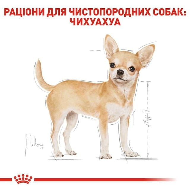 Сухой корм для собак Royal Canin Chihuahua Adult 500 г (2210005)