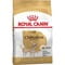 Фото - Сухой корм для собак Royal Canin Chihuahua Adult 500 г (2210005) | click.ua