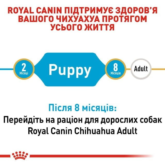 Сухой корм для собак Royal Canin Chihuahua Puppy 500 г (24380051)