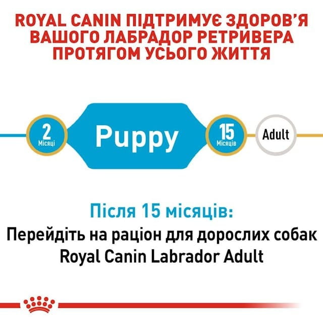 Сухой корм для собак Royal Canin Labrador Retriever Puppy 12 кг (24911201)