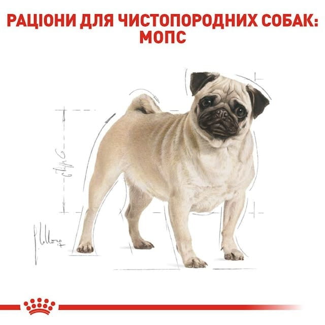 Сухой корм для собак Royal Canin Pug Adult 1.5 кг (3985015)