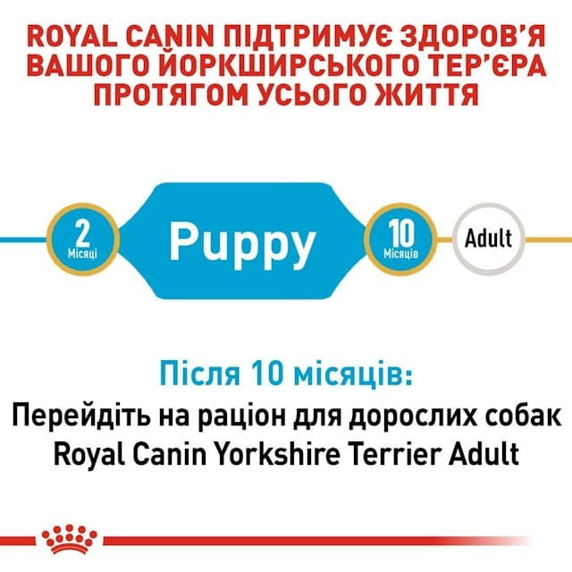 Сухий корм для собак Royal Canin Yorkshire Terrier Puppy 500 г (39720051)