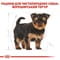 Фото - Сухой корм для собак Royal Canin Yorkshire Terrier Puppy 500 г (39720051) | click.ua