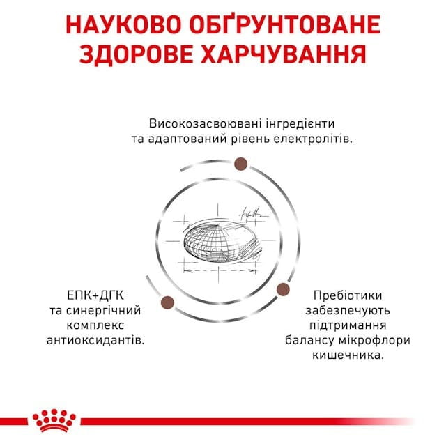 Сухой корм для собак при нарушениях пищеварения Royal Canin Gastrointestinal 2 кг (39110201)