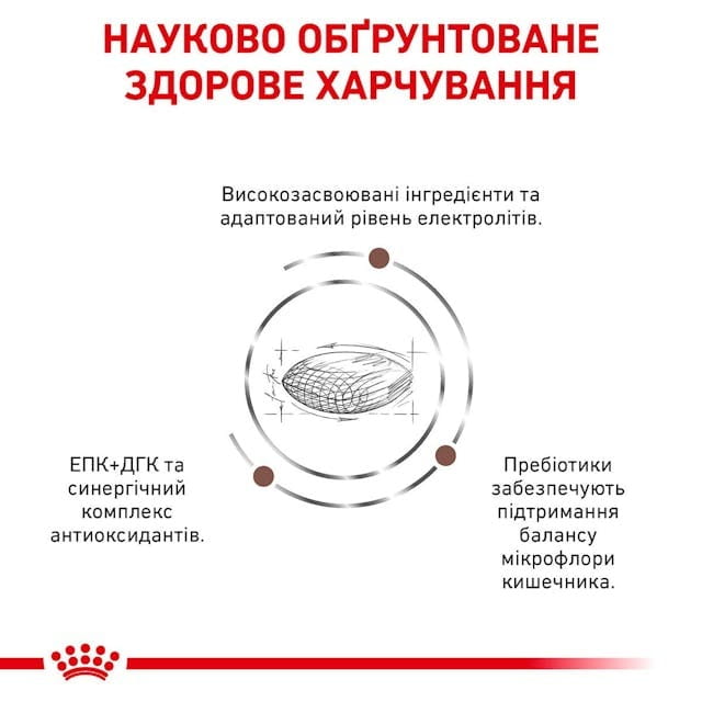 Сухой корм для собак при нарушениях пищеварения Royal Canin Gastrointestinal Low Fat 1.5 кг (39320151)