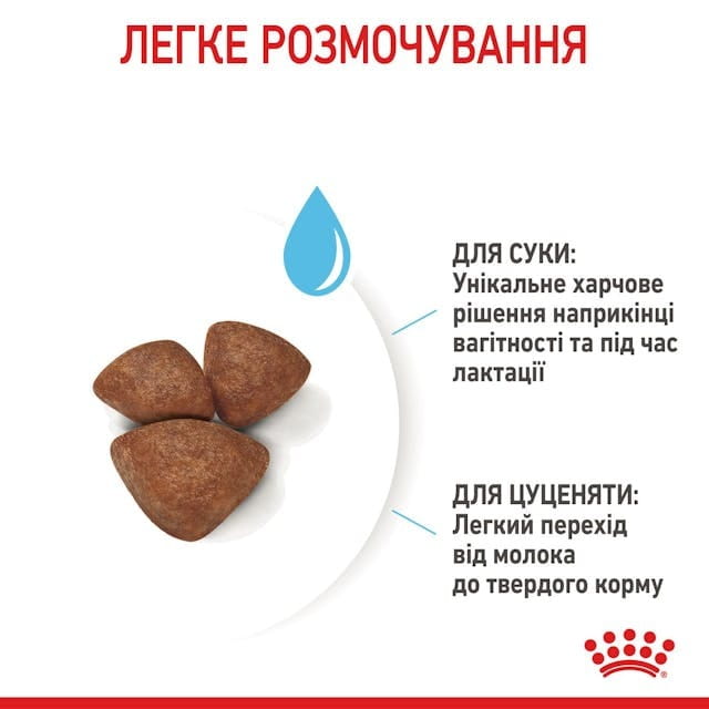 Сухой корм для собак Royal Canin Starter Mother & Babydog - Mini 1 кг (2990010)