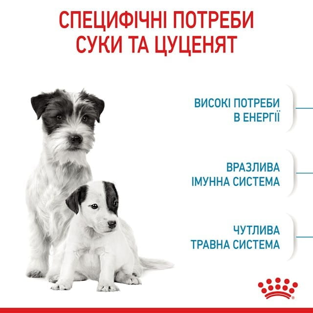 Сухой корм для собак Royal Canin Starter Mother & Babydog - Mini 1 кг (2990010)