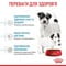 Фото - Сухой корм для собак Royal Canin Starter Mother & Babydog - Mini 1 кг (2990010) | click.ua