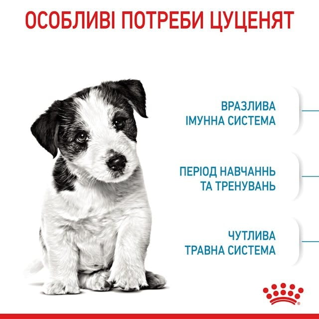 Сухой корм для собак Royal Canin Mini Puppy 2 кг (30000202)
