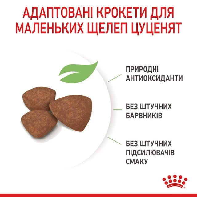 Сухой корм для собак Royal Canin Mini Puppy 800 г (30000082)