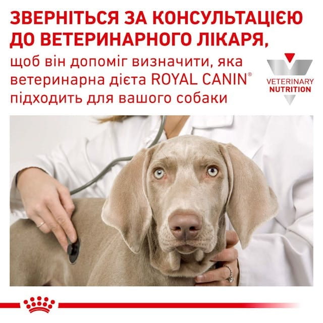 Сухой корм для собак при заболеваниях почек Royal Canin Renal 2 кг (39160209)