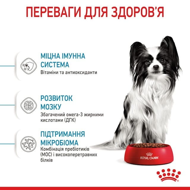 Сухой корм для собак Royal Canin X-small Puppy 500 г (10020051)