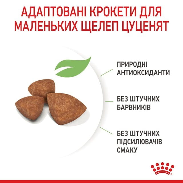 Сухой корм для собак Royal Canin X-small Puppy 500 г (10020051)