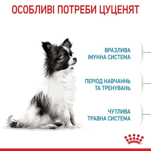 Сухий корм для собак Royal Canin X-small Puppy 500 г (10020051)