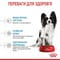 Фото - Сухой корм для собак Royal Canin X-small Puppy 500 г (10020051) | click.ua