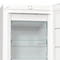 Фото - Морозильна камера Gorenje FN619EEW5 | click.ua