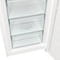 Фото - Морозильна камера Gorenje FN619FEW5 | click.ua